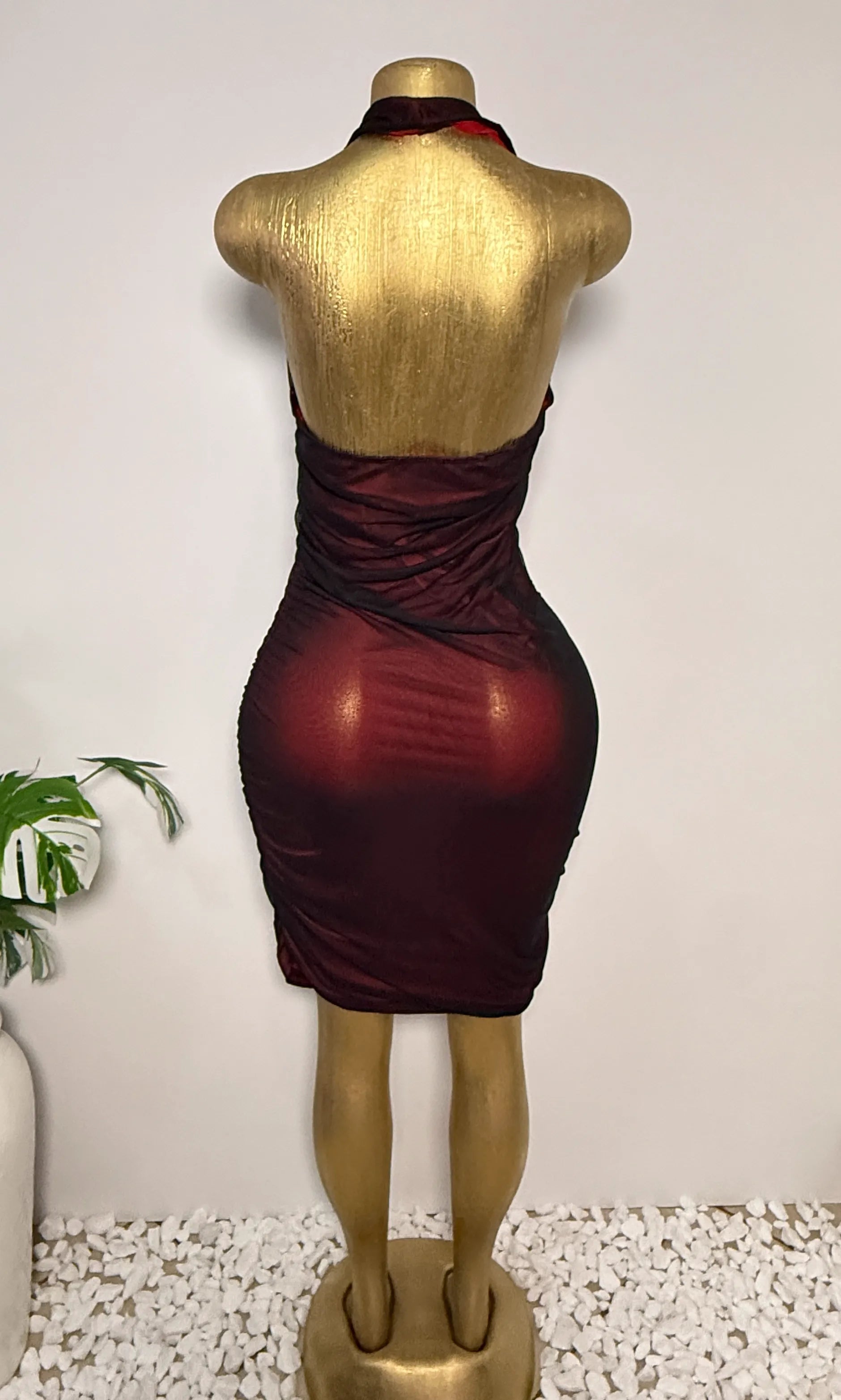 Red Ombré Mesh Ruched Halter Dress