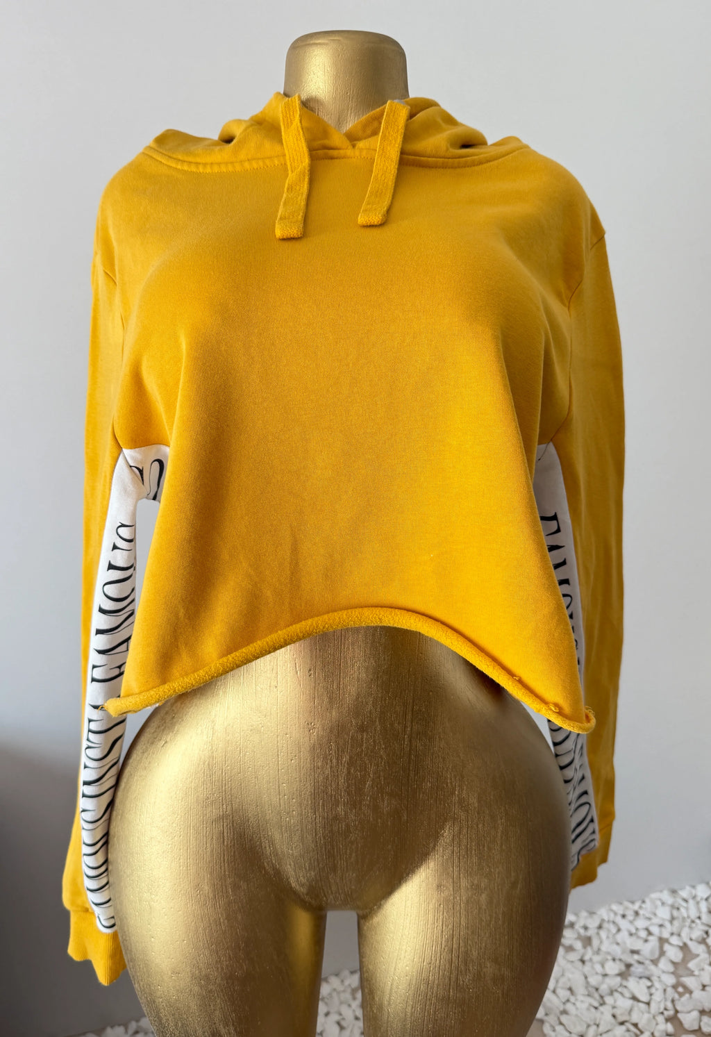 Insta Famous Cropped Hoodie