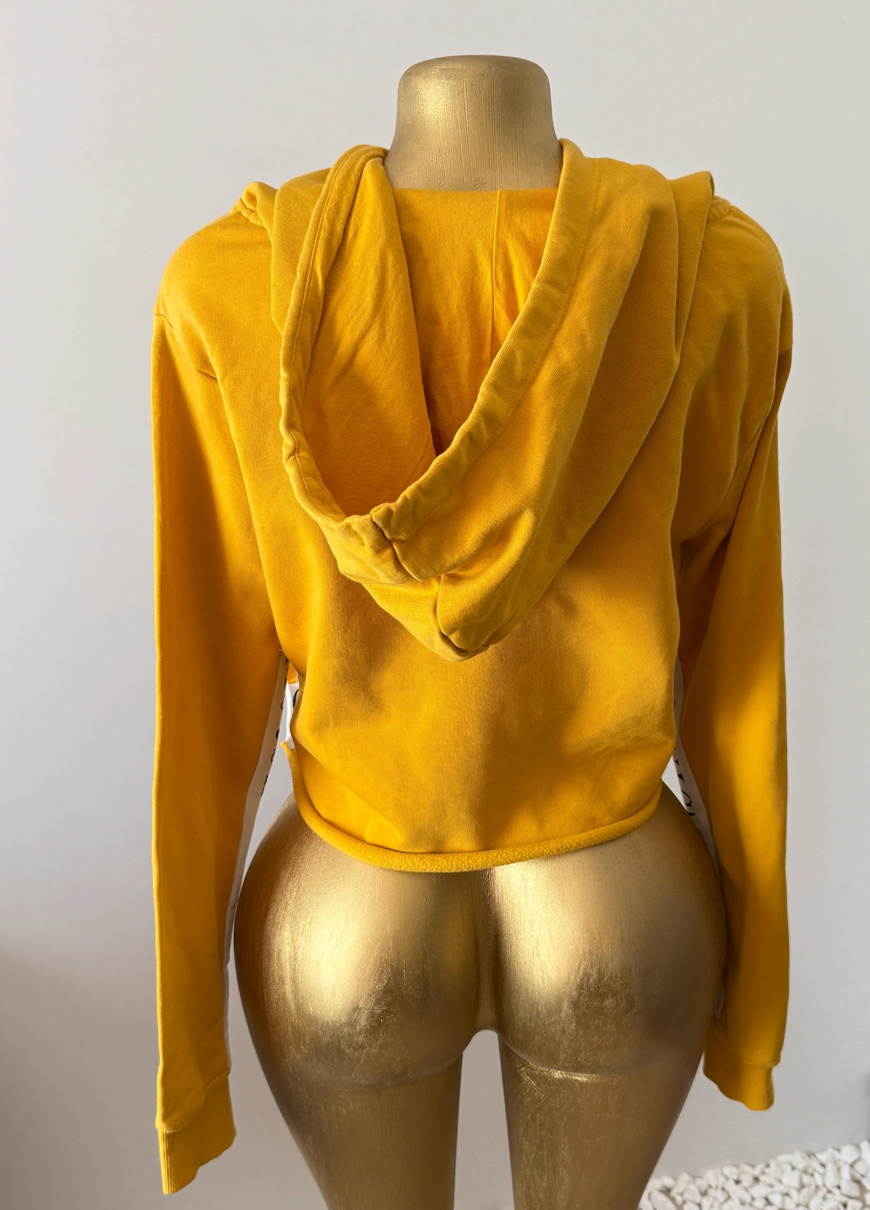 Insta Famous Cropped Hoodie