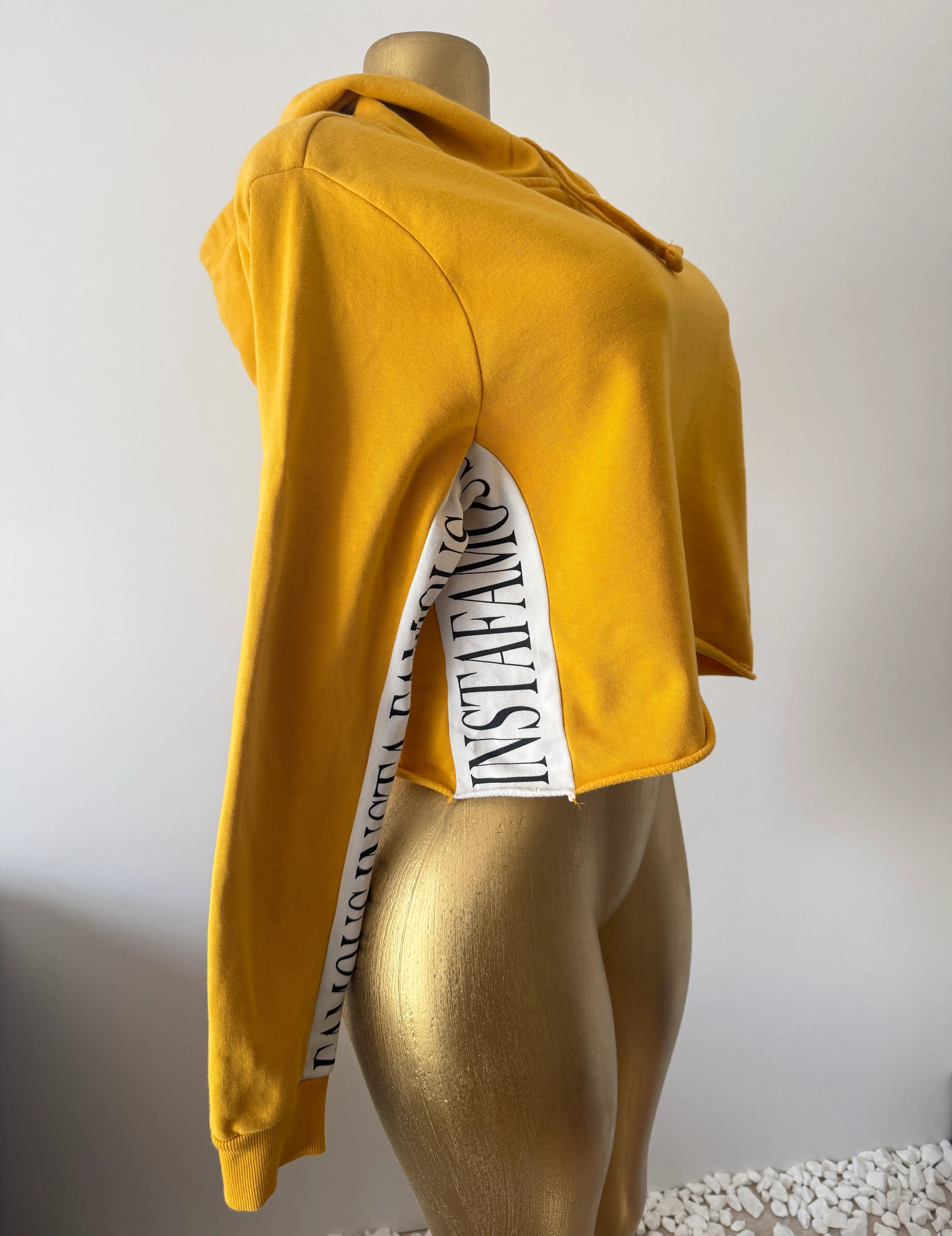 Insta Famous Cropped Hoodie