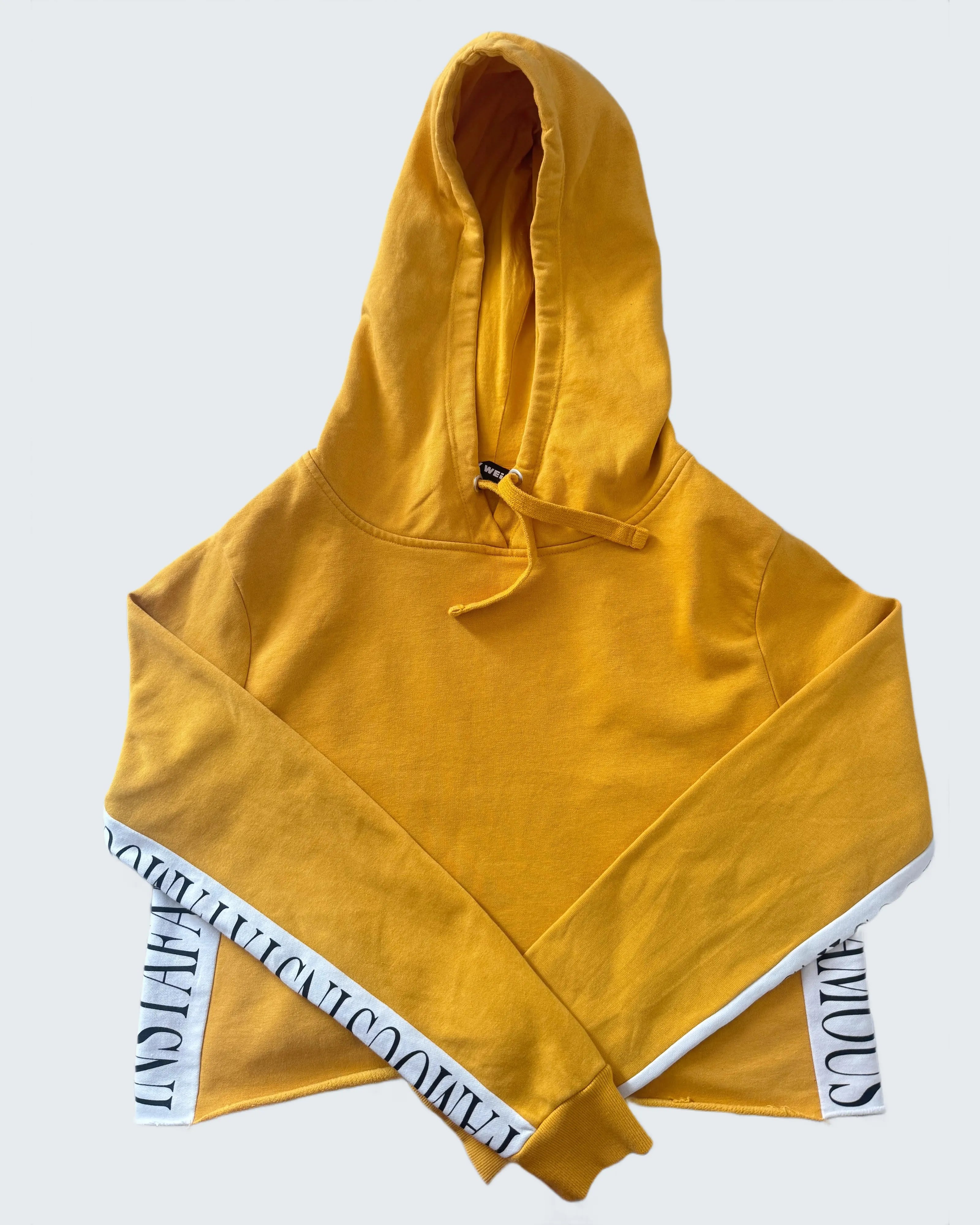 Insta Famous Cropped Hoodie